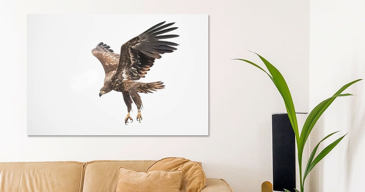 アート Nicky Depypere | Discover the beautiful Artworks